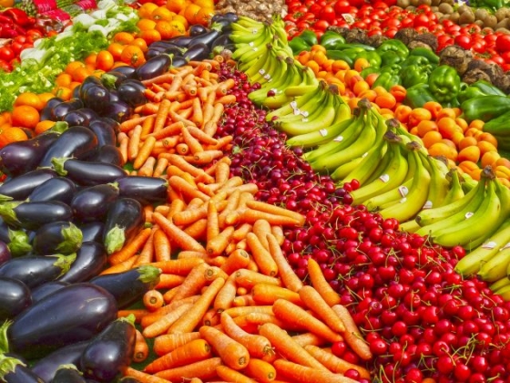 Food Safety